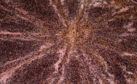 159A0250