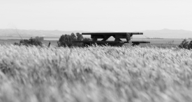 _MG_0057