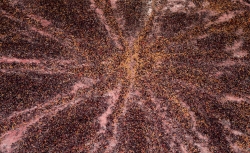 159A0250
