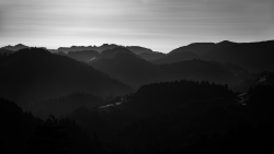 _Z8A6619