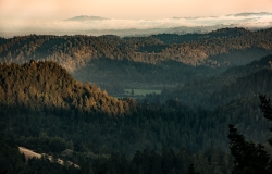 _Z8A6728