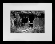 img232-Edit-2
