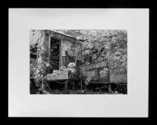 img253-Edit