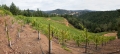 PerliHomePano