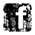 facebook-grunge30 logo with link to Steve Ruddy Photography Facebook page