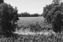 59A5052