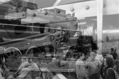 Film-Scan-Set-Up-Session00089_1