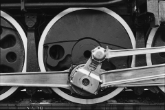 Film-Scan-Set-Up-Session00112