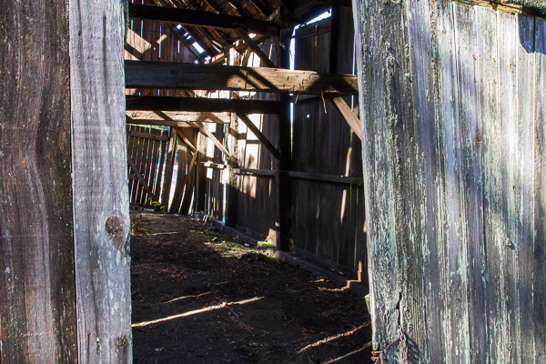 Old Barn 2 of 3