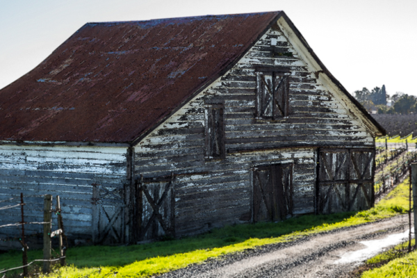 Vineyard Barn